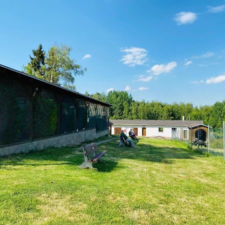 Garni Hotel Pyramida Cheb Zewnętrze zdjęcie