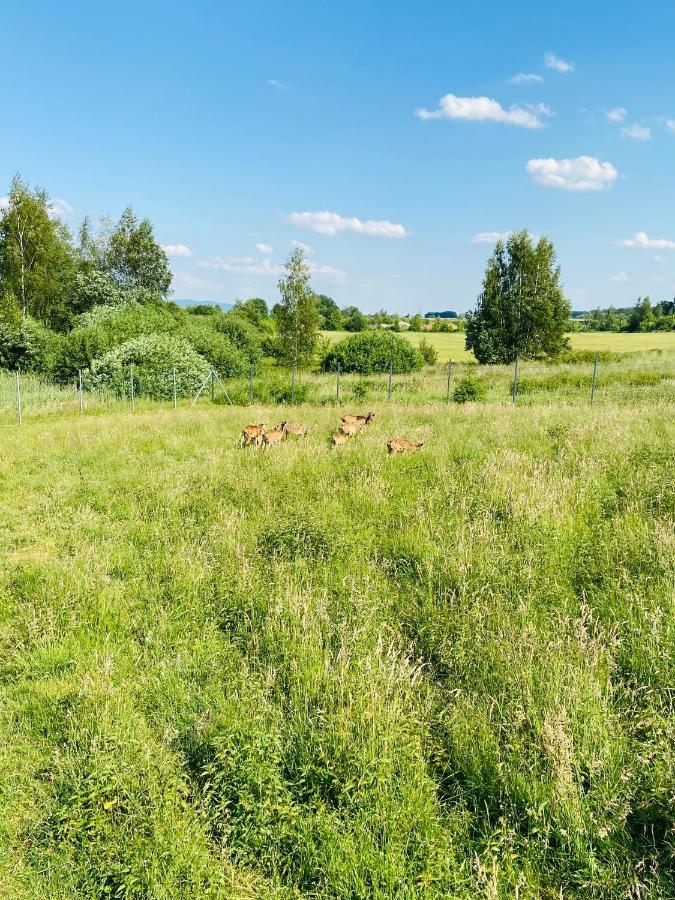 Garni Hotel Pyramida Cheb Zewnętrze zdjęcie